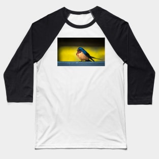 Barn Swallow on a Rail 2 Baseball T-Shirt